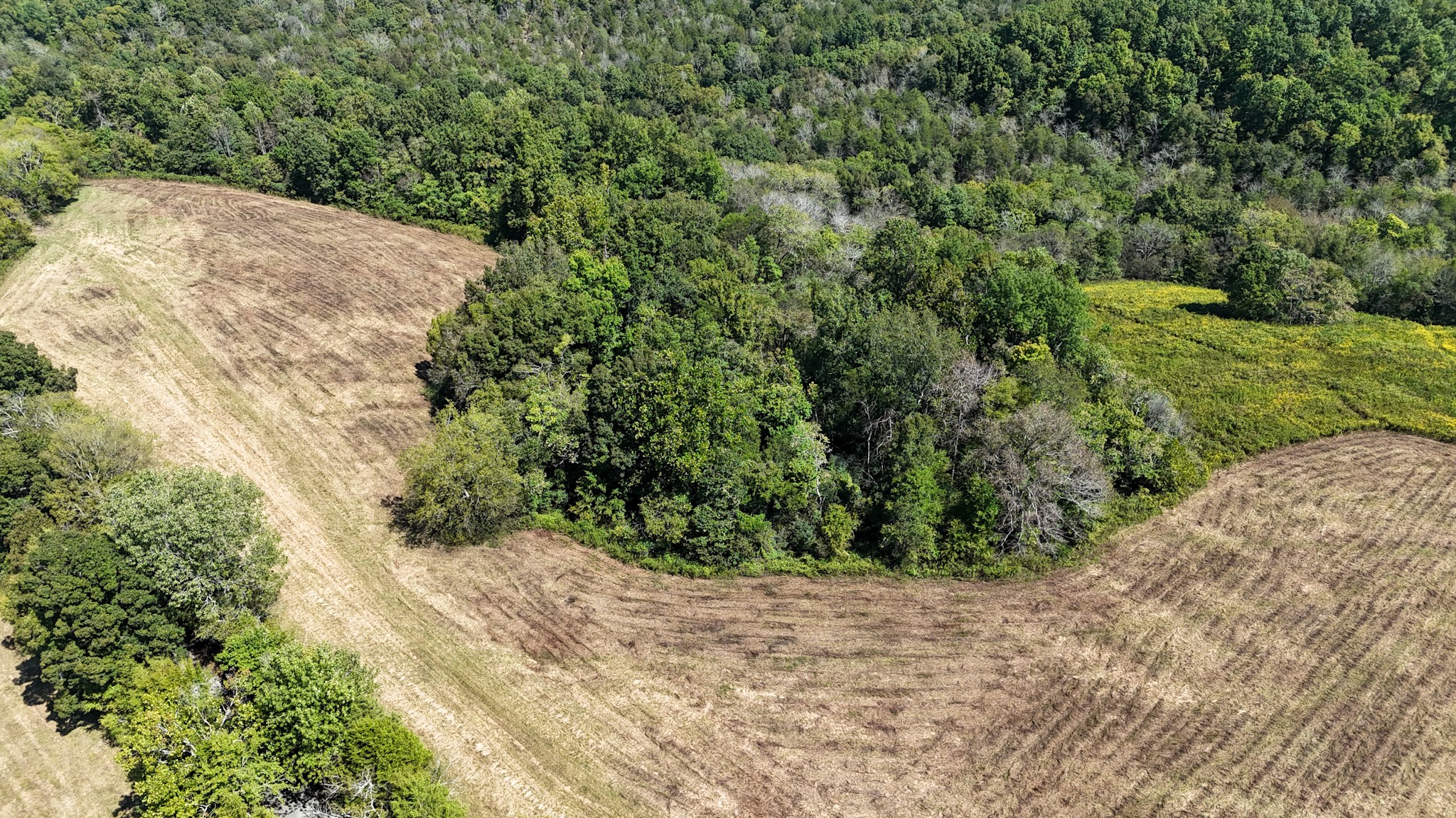 Image 9 of 36 For 0 Knob Creek Rd