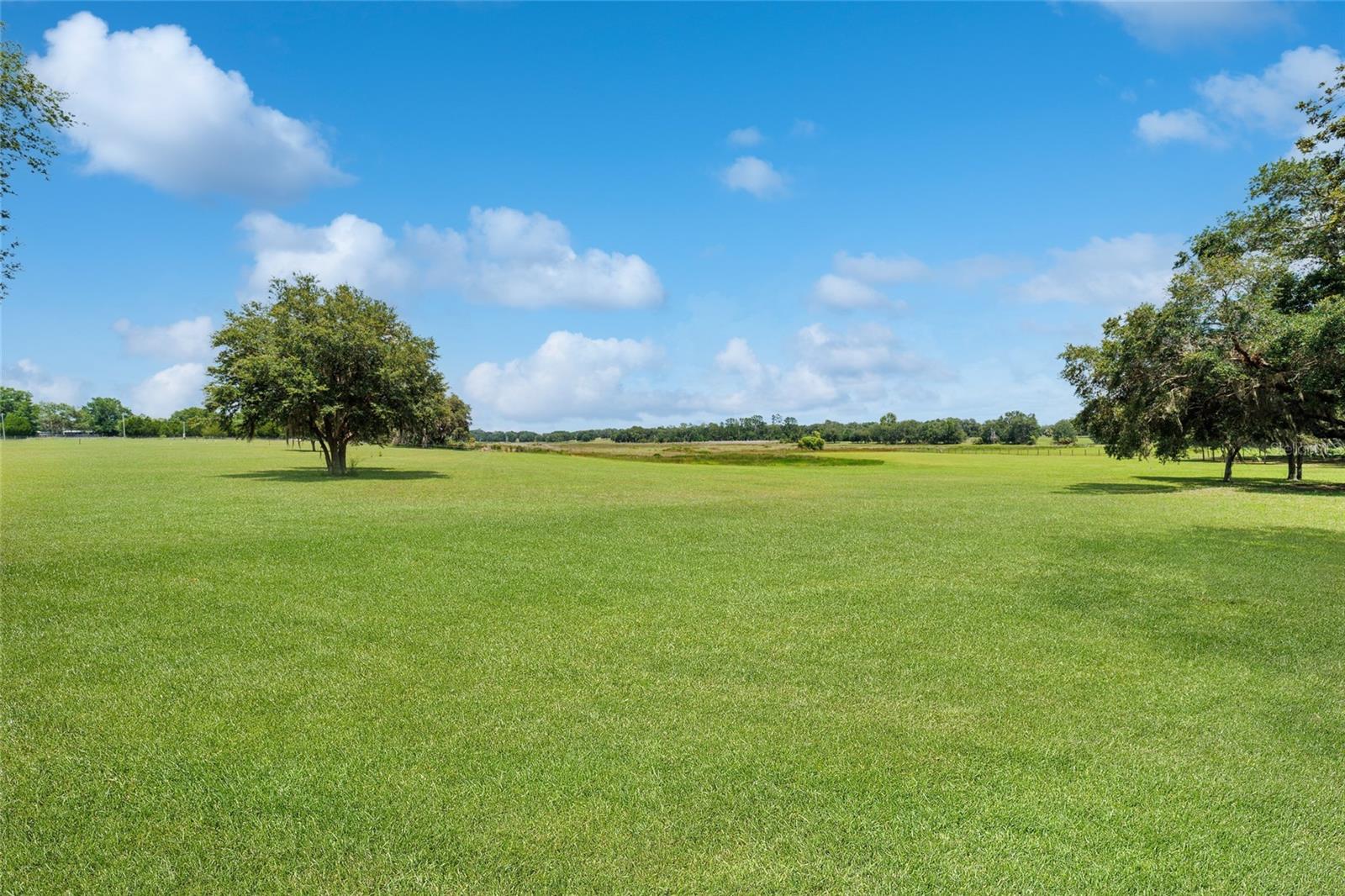 Image 69 of 76 For 12651 County Road 337