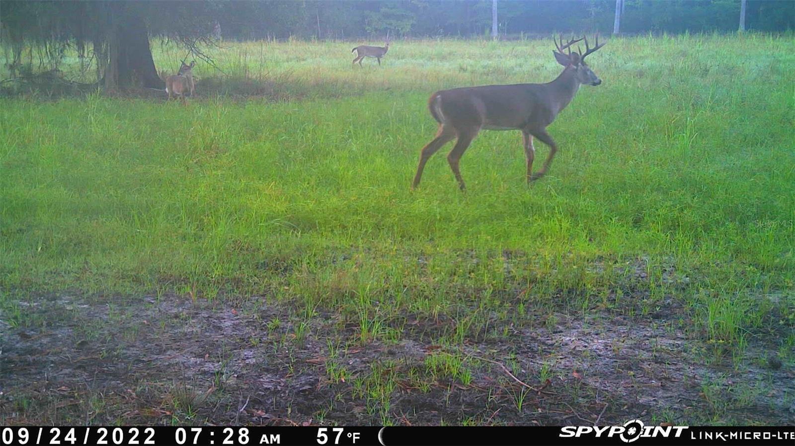 Image 35 of 91 For Off Ne 67 Th Ave