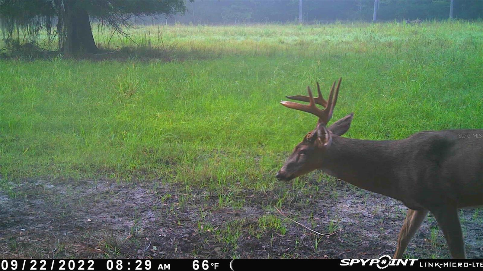 Image 36 of 91 For Off Ne 67 Th Ave