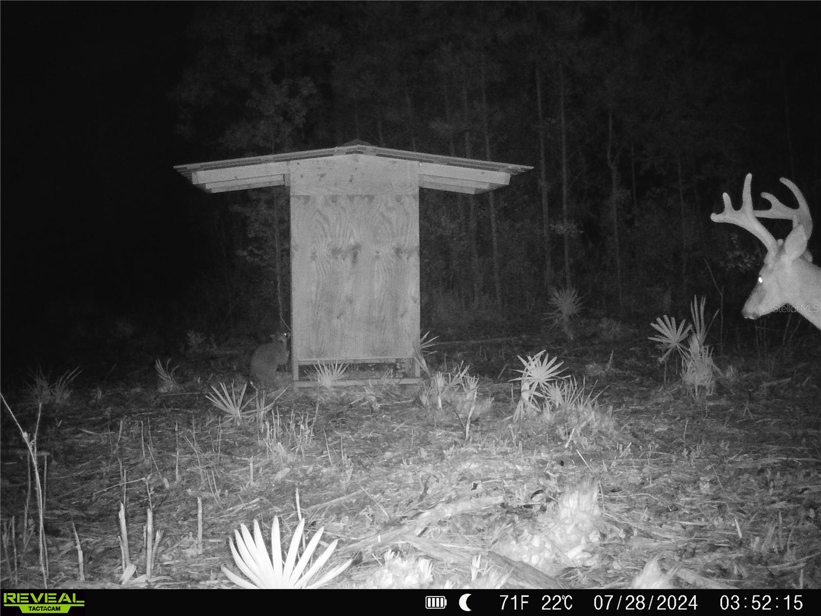 Image 39 of 91 For Off Ne 67 Th Ave