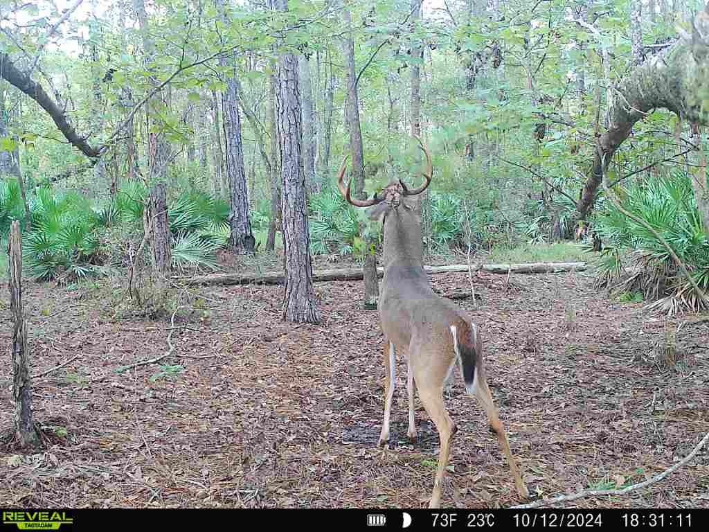 Image 41 of 91 For Off Ne 67 Th Ave