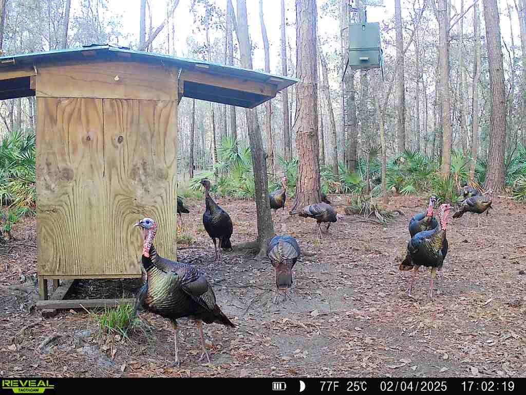 Image 45 of 91 For Off Ne 67 Th Ave