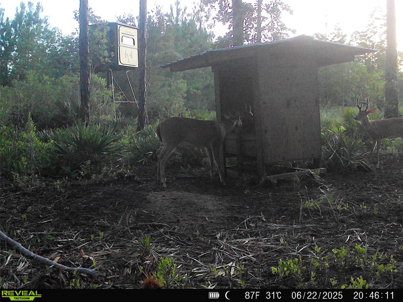 Image 47 of 91 For Off Ne 67 Th Ave