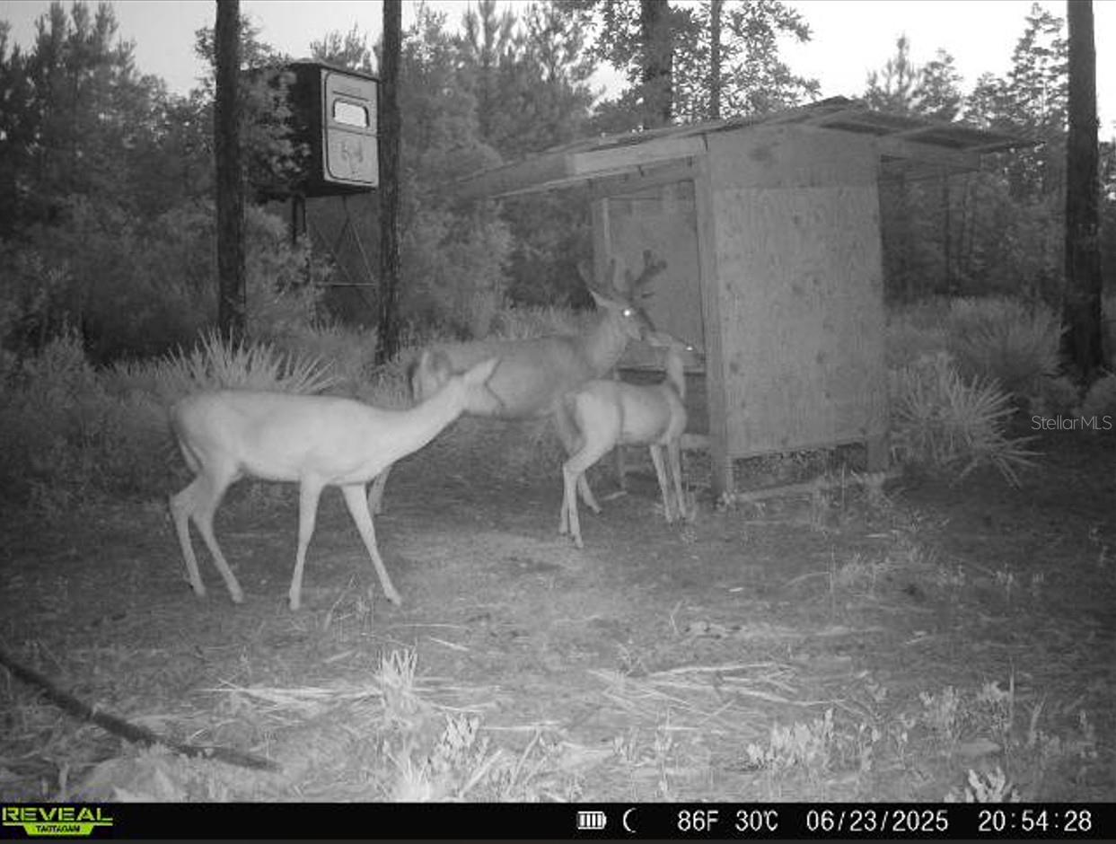 Image 48 of 91 For Off Ne 67 Th Ave