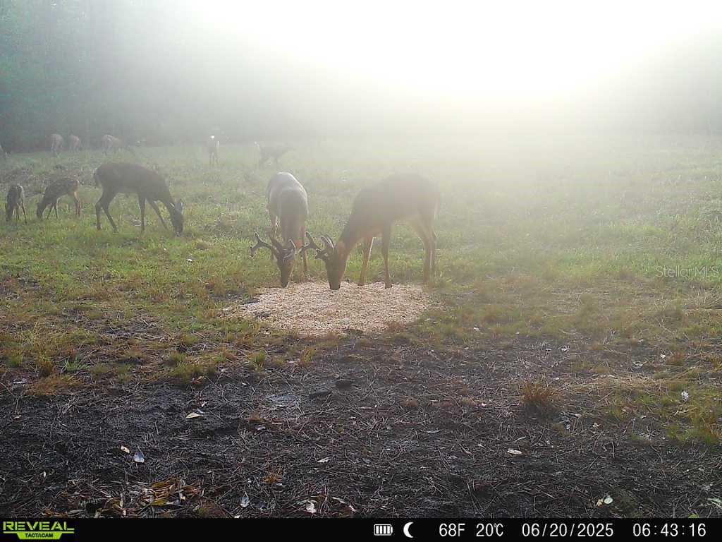 Image 49 of 91 For Off Ne 67 Th Ave