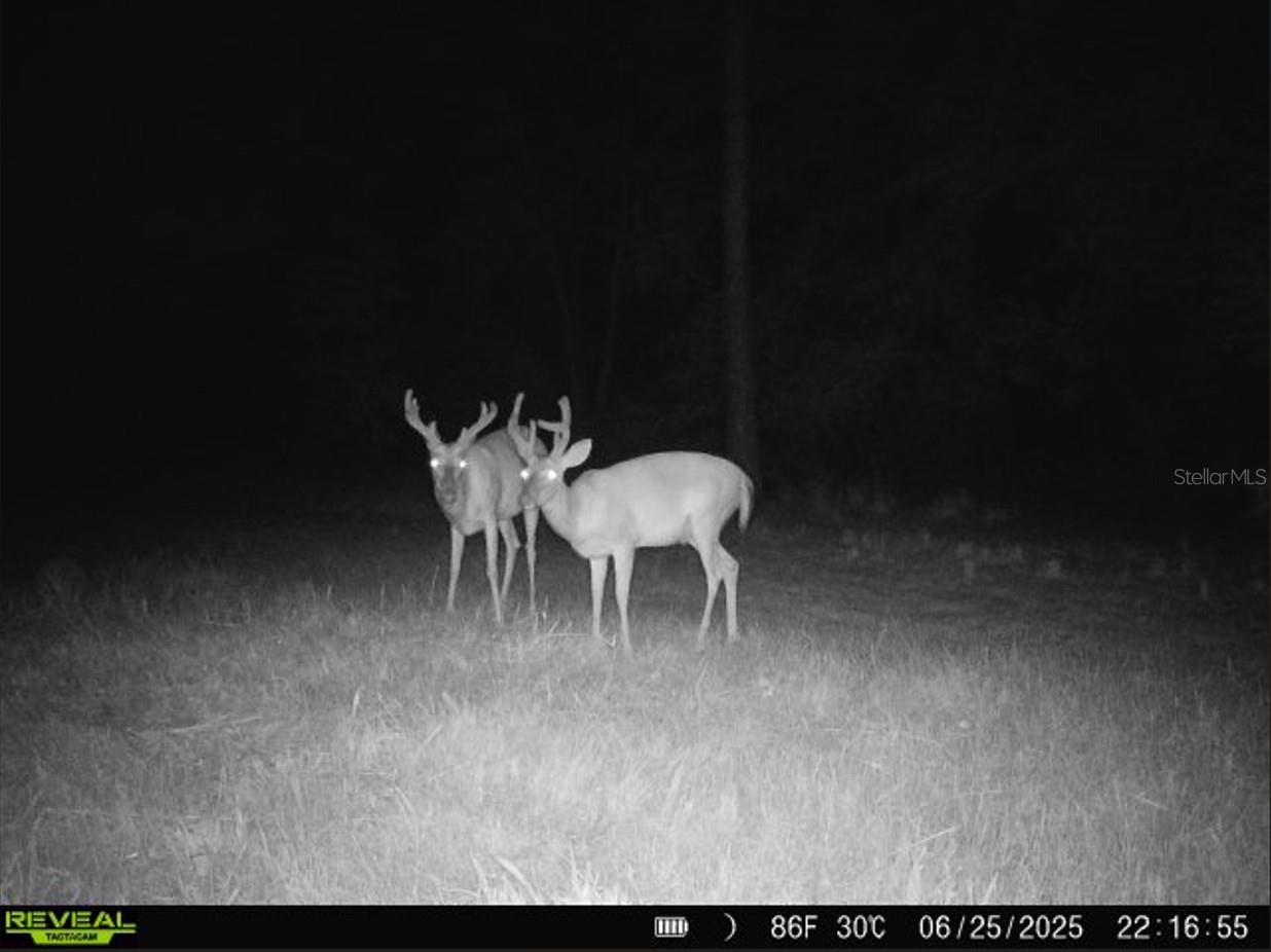 Image 50 of 91 For Off Ne 67 Th Ave