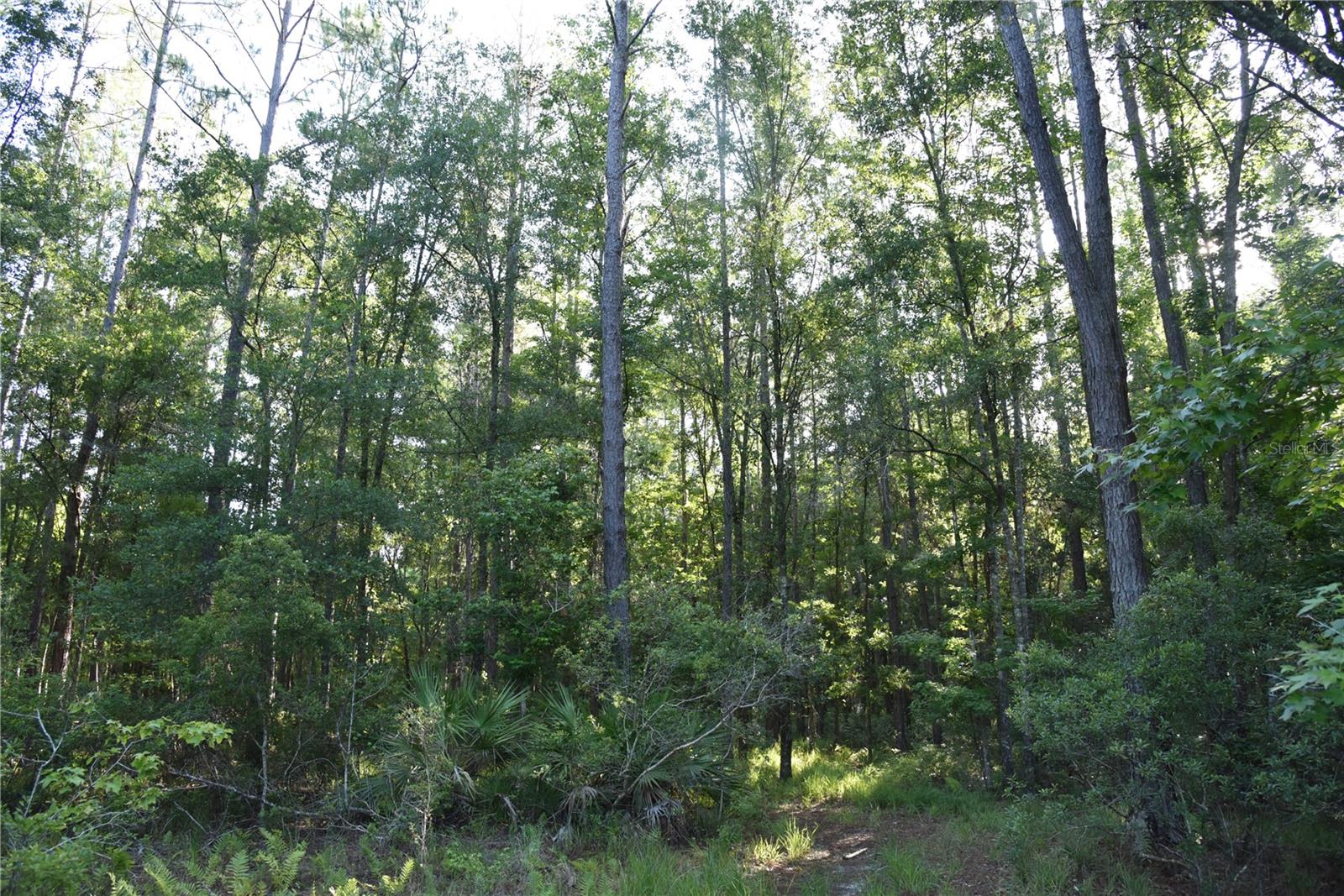 Image 73 of 91 For Off Ne 67 Th Ave