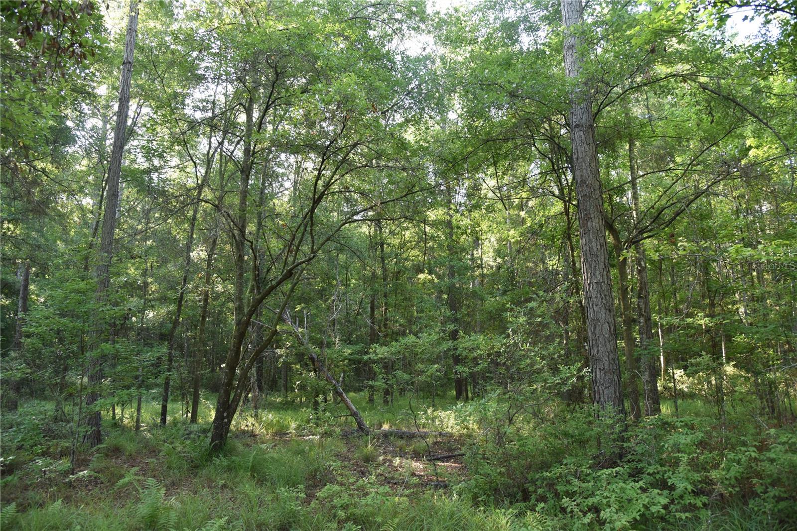 Image 76 of 91 For Off Ne 67 Th Ave