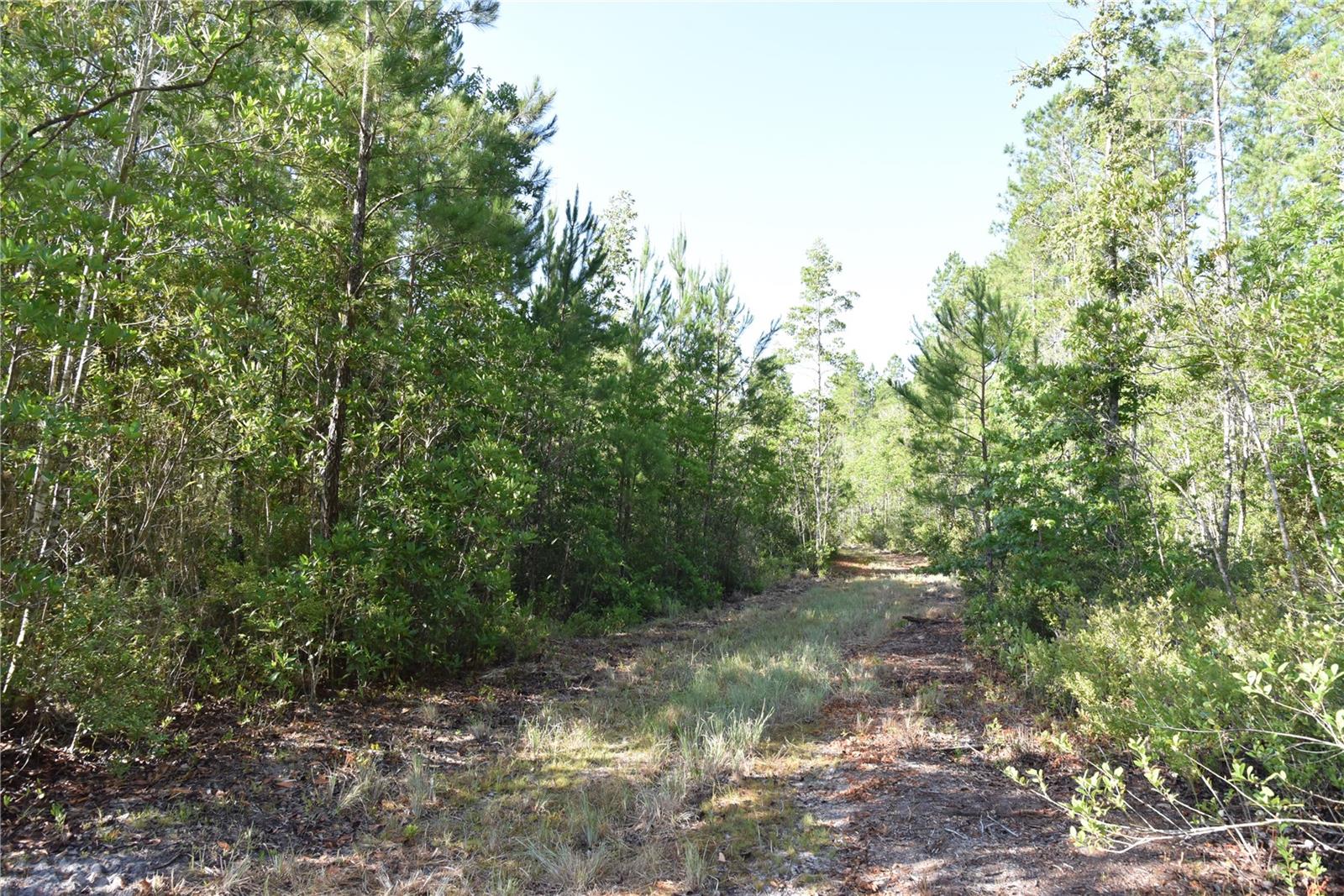 Image 79 of 91 For Off Ne 67 Th Ave