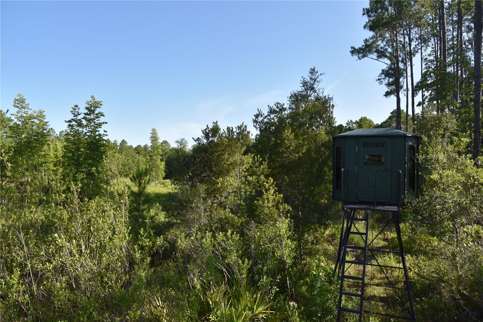 Image 8 of 91 For Off Ne 67 Th Ave