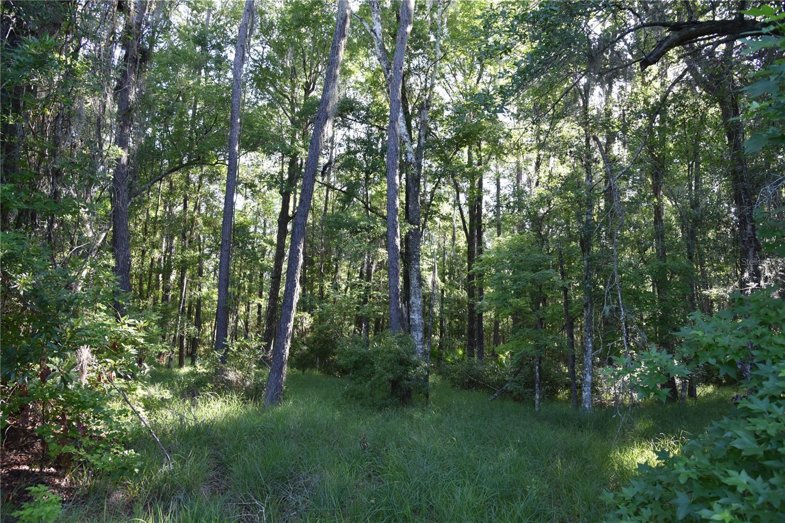 Image 84 of 91 For Off Ne 67 Th Ave