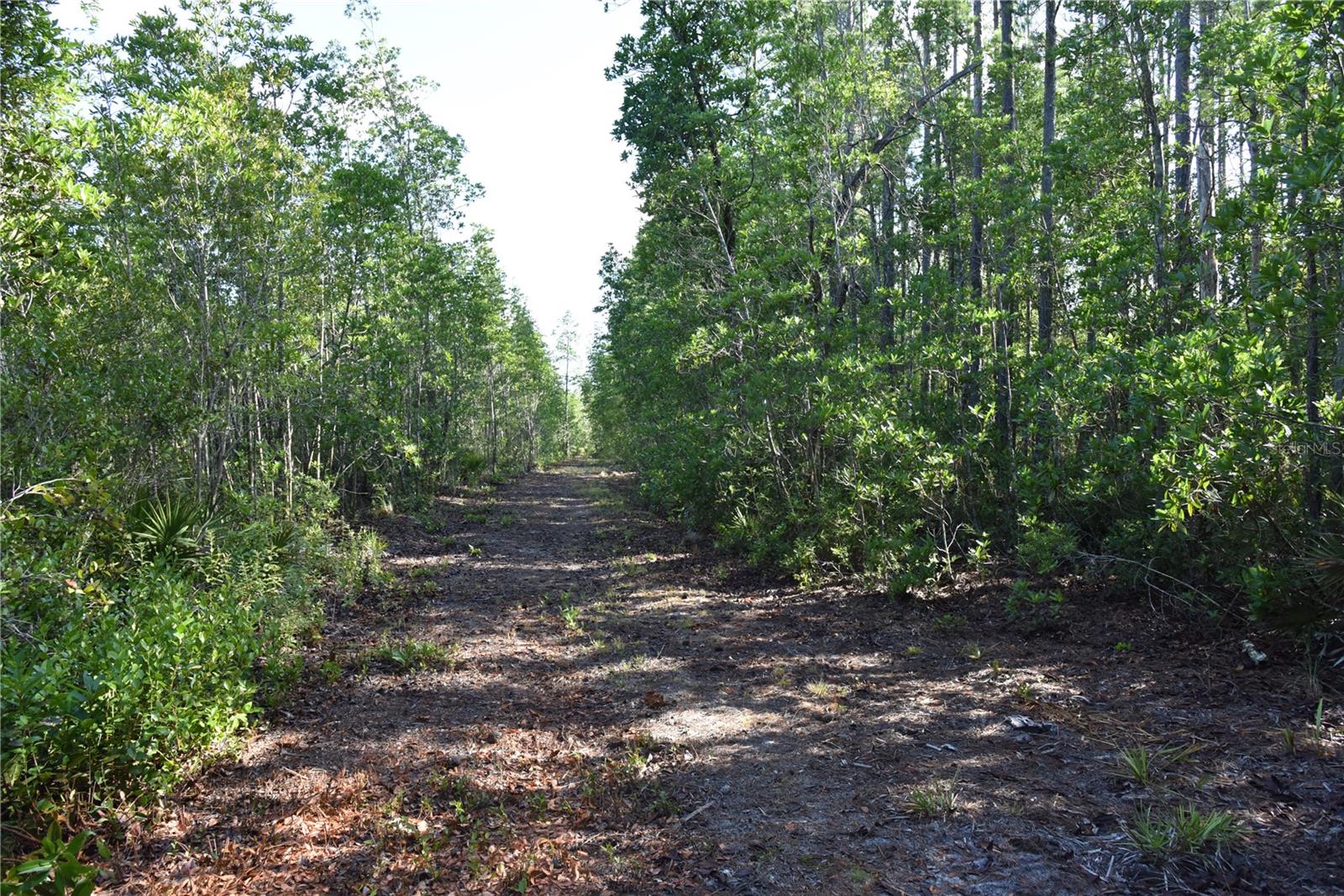 Image 91 of 91 For Off Ne 67 Th Ave