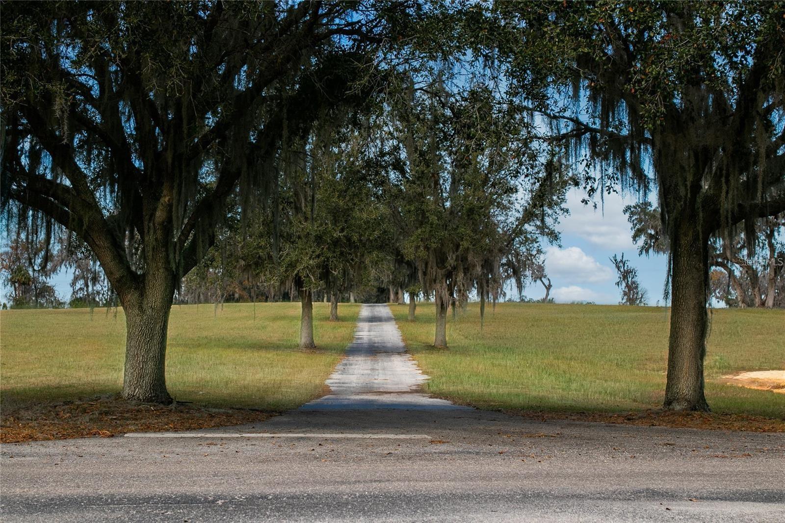 Details for 157th Sreet Road 44, SUMMERFIELD, FL 34491