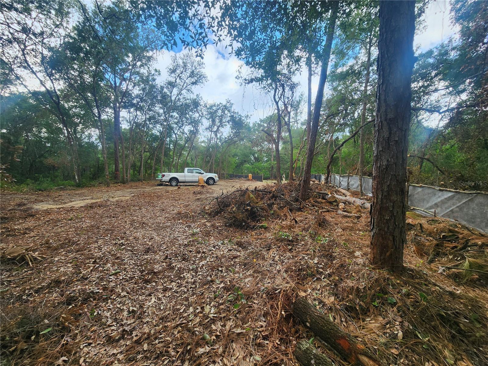 Image 6 of 11 For 3919 Orchid Street