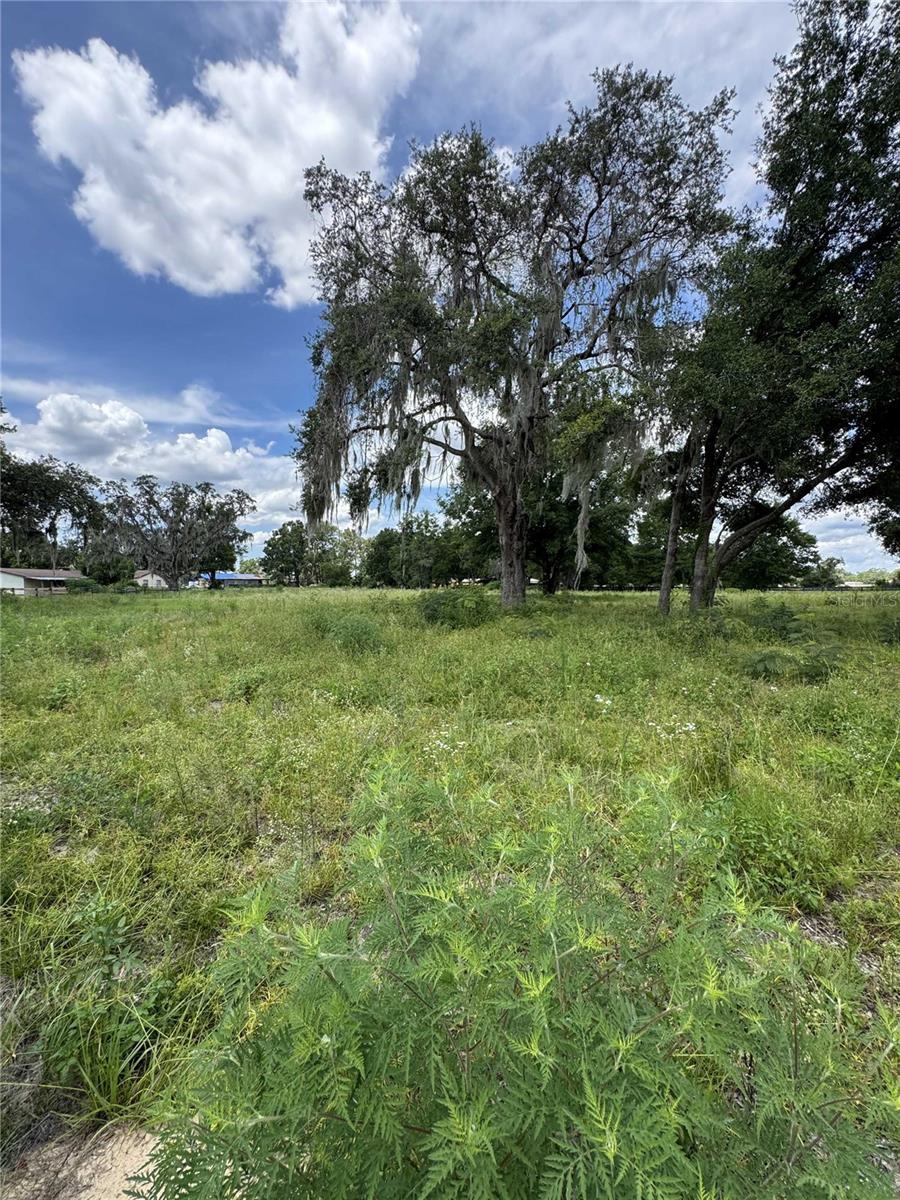 Image 4 of 9 For 8640 73rd Avenue