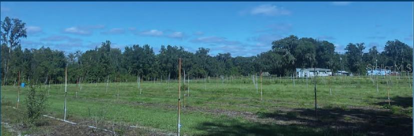 Image 2 of 28 For 9333 Bushnell Road