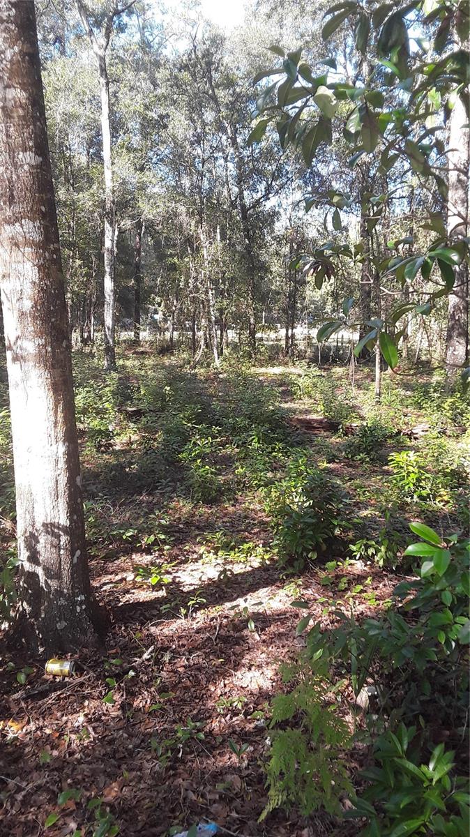 Listing Details for 22733 114th Avenue, FORT MC COY, FL 32134