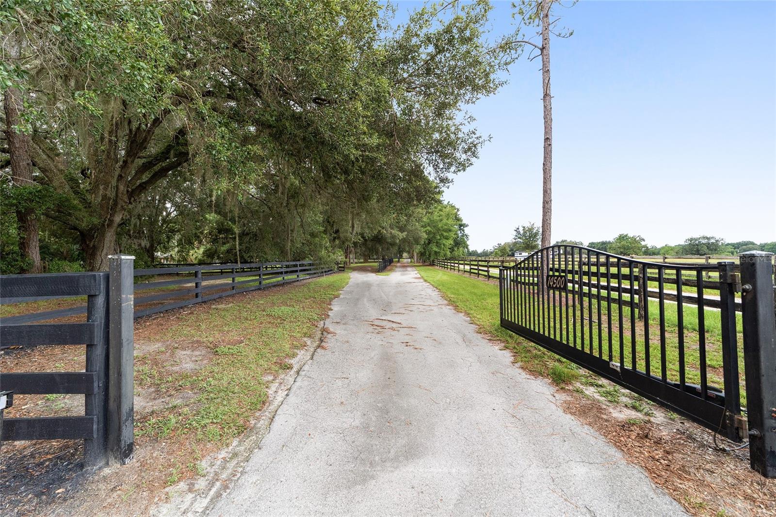 Image 41 of 63 For 14500 Highway 464b