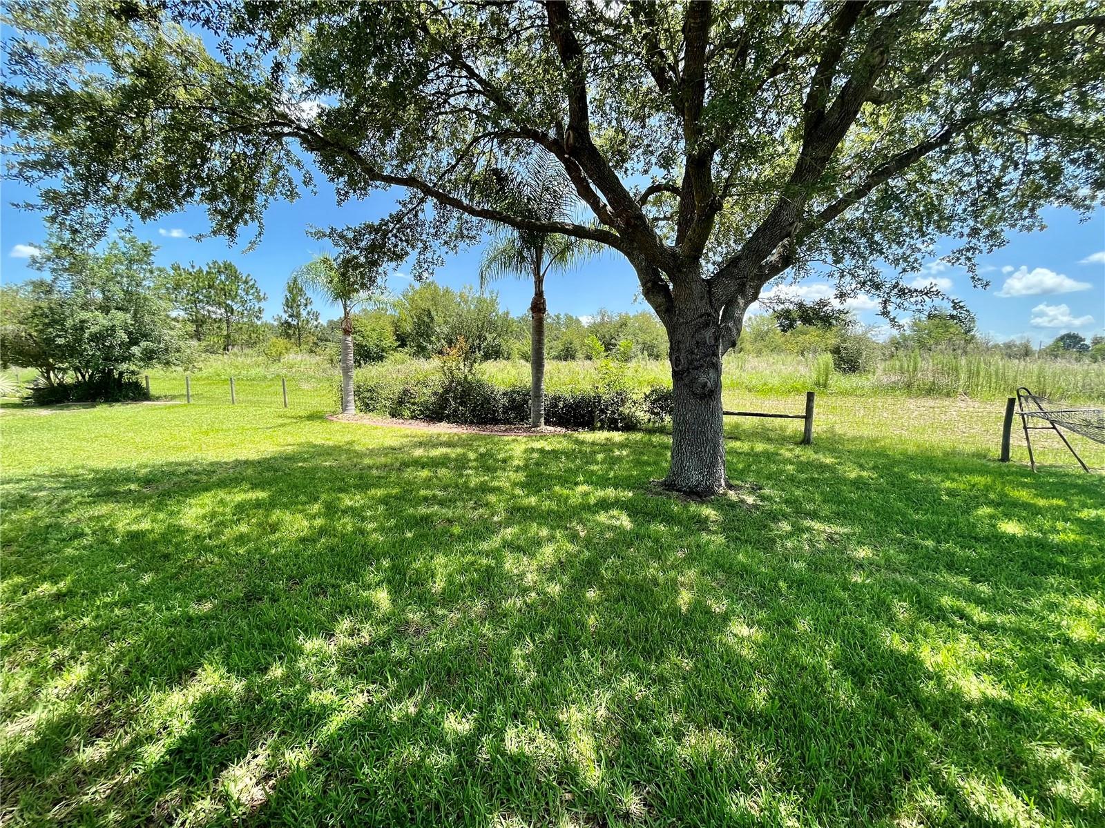 Image 3 of 21 For 9825 125th Lane