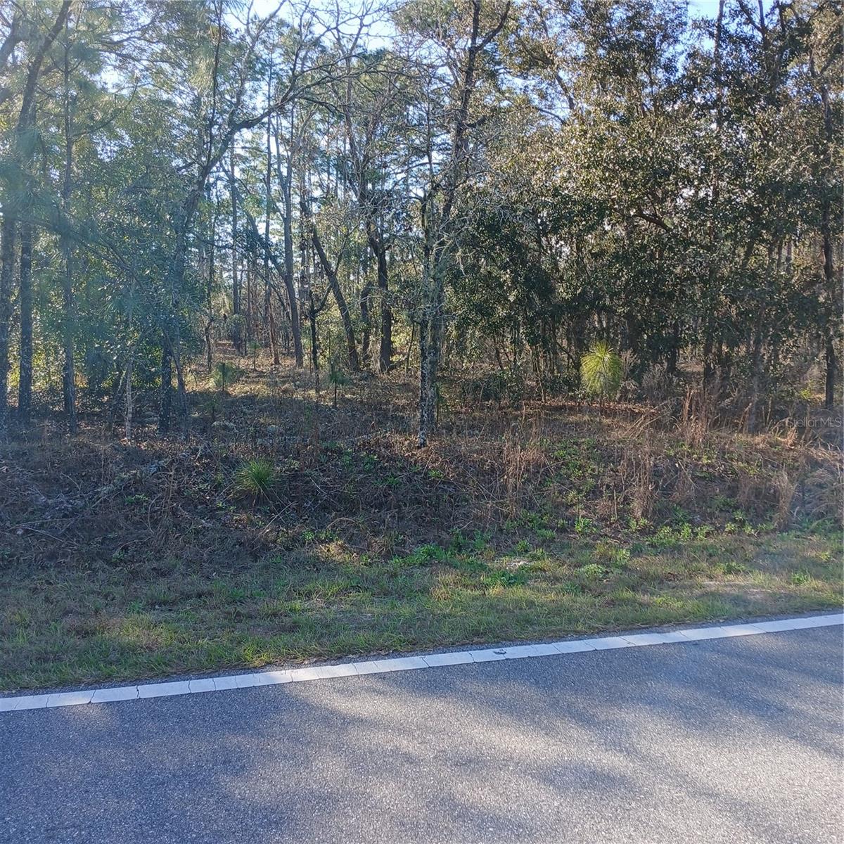 Details for Tbd Ridgewood Road, DUNNELLON, FL 34431
