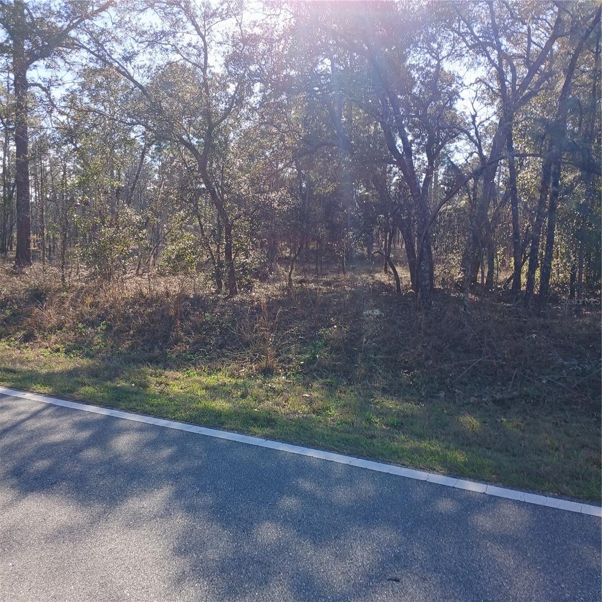 Image 4 of 9 For Tbd Ridgewood Road