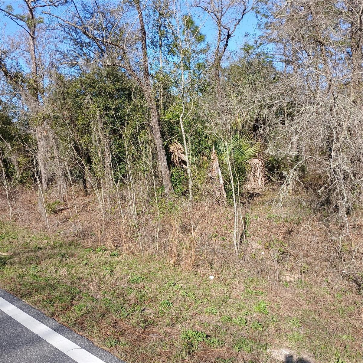 Image 5 of 9 For Tbd Ridgewood Road