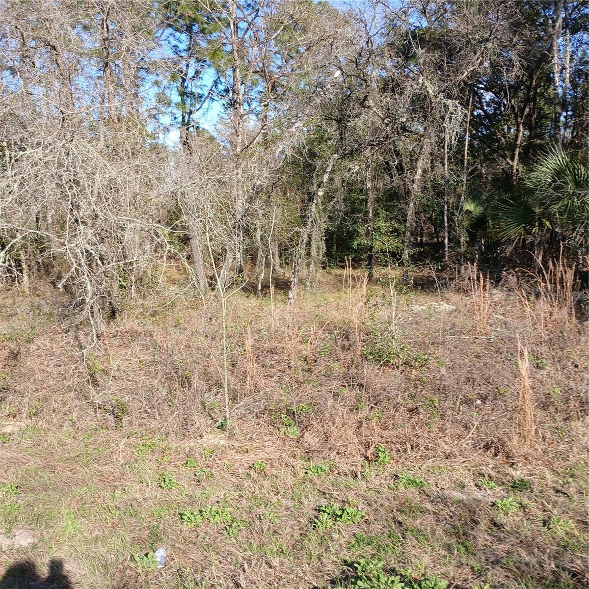 Image 6 of 9 For Tbd Ridgewood Road