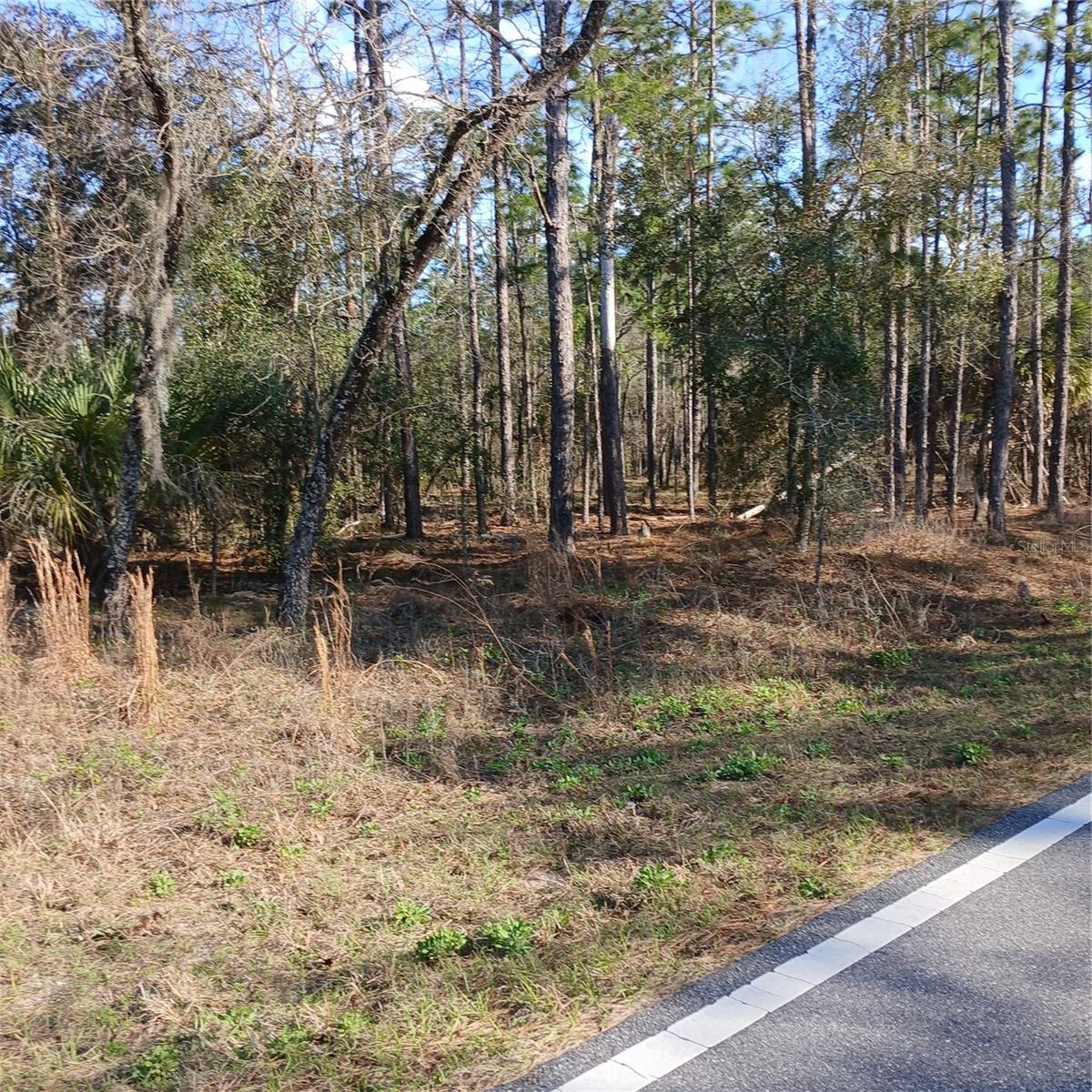 Image 7 of 9 For Tbd Ridgewood Road