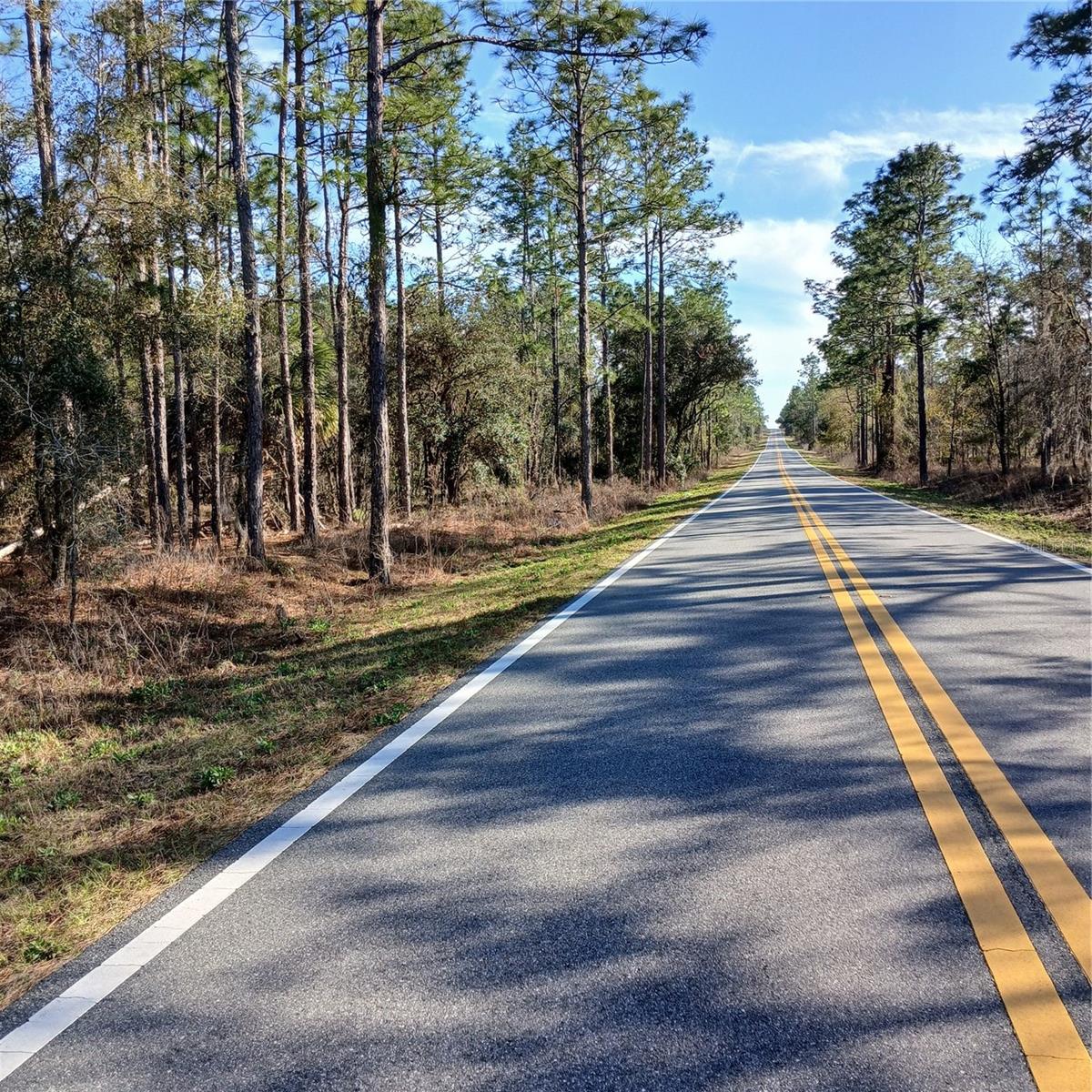 Image 8 of 9 For Tbd Ridgewood Road