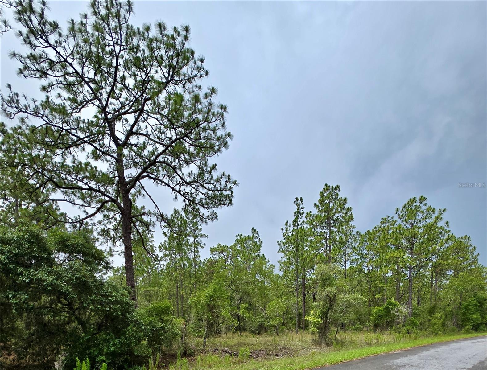 Details for 0 Nw Water Oak Avenue, DUNNELLON, FL 34431