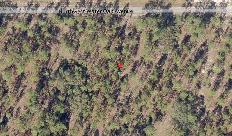 Image 3 of 5 For 0 Nw Water Oak Avenue