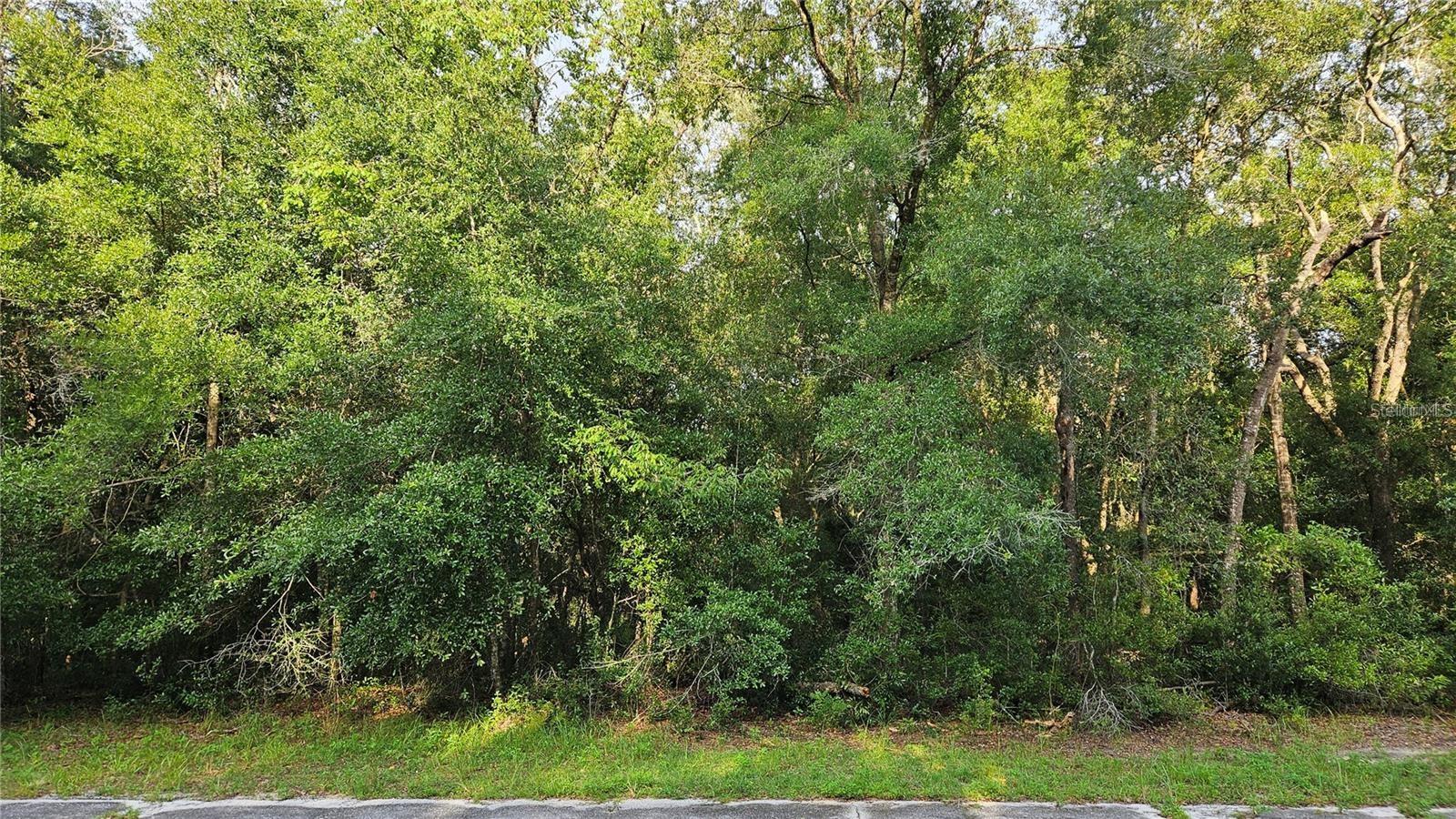 Image 3 of 23 For 10147 Dyal Drive