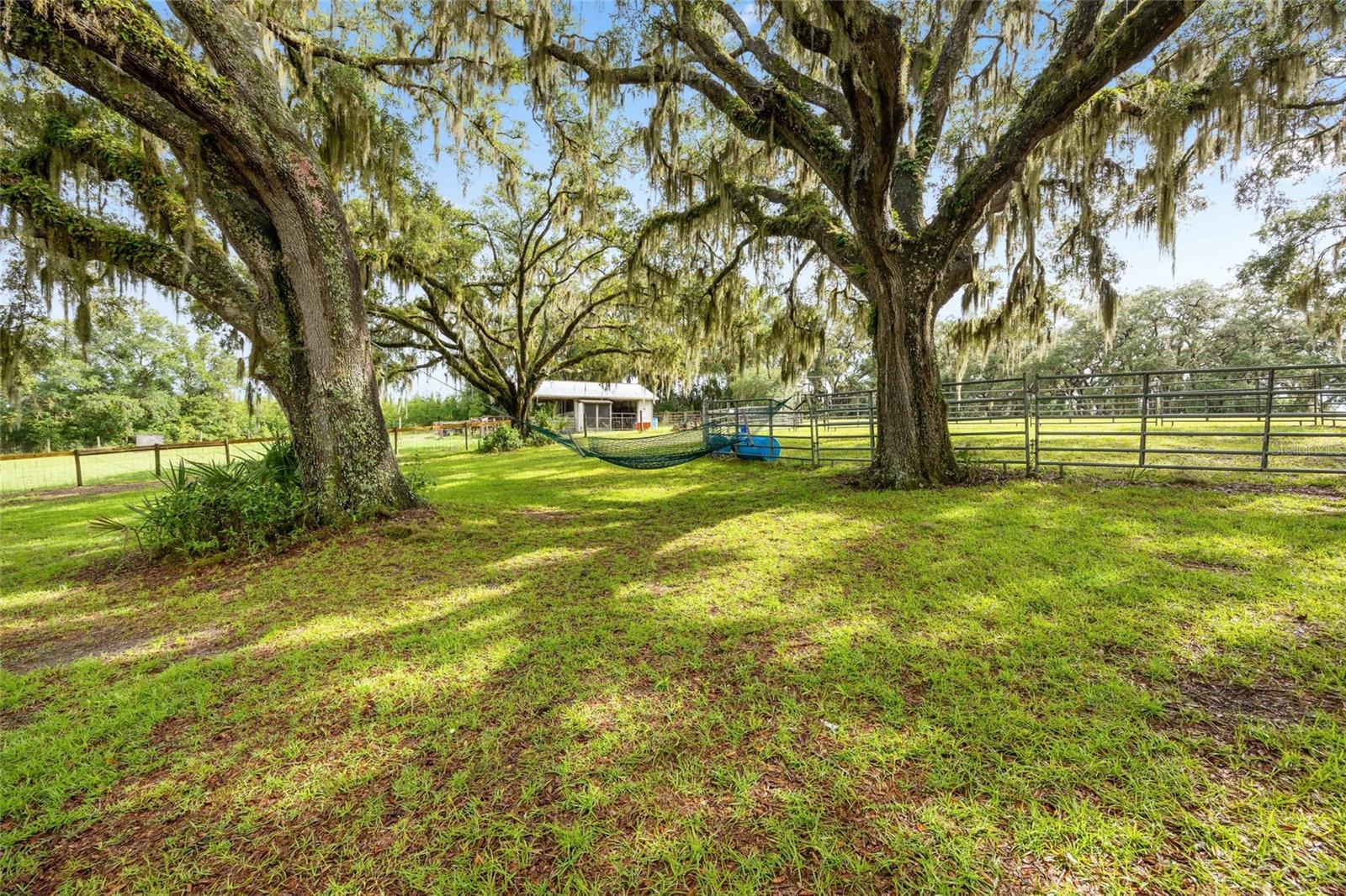 Image 50 of 82 For 21588 106th Lane Road