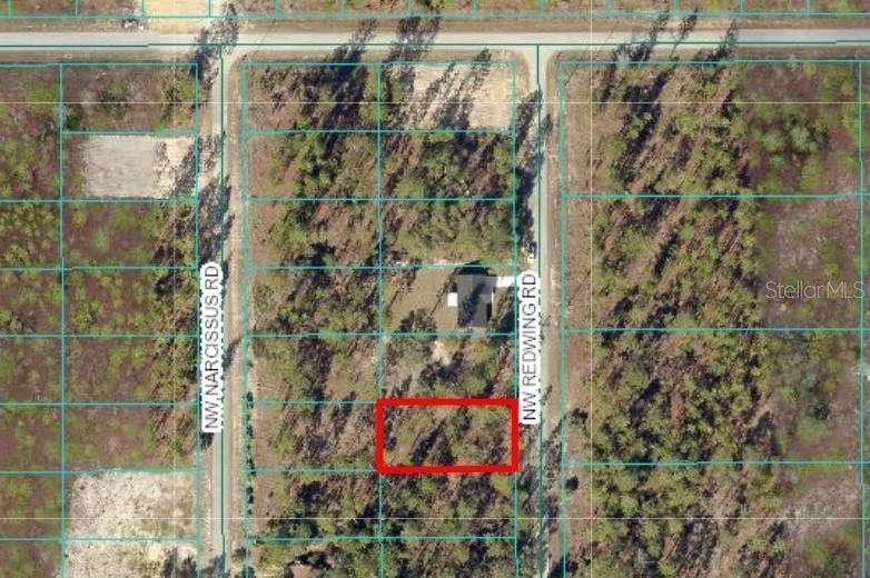 Listing Details for Tbd Redwing Road, DUNNELLON, FL 34431