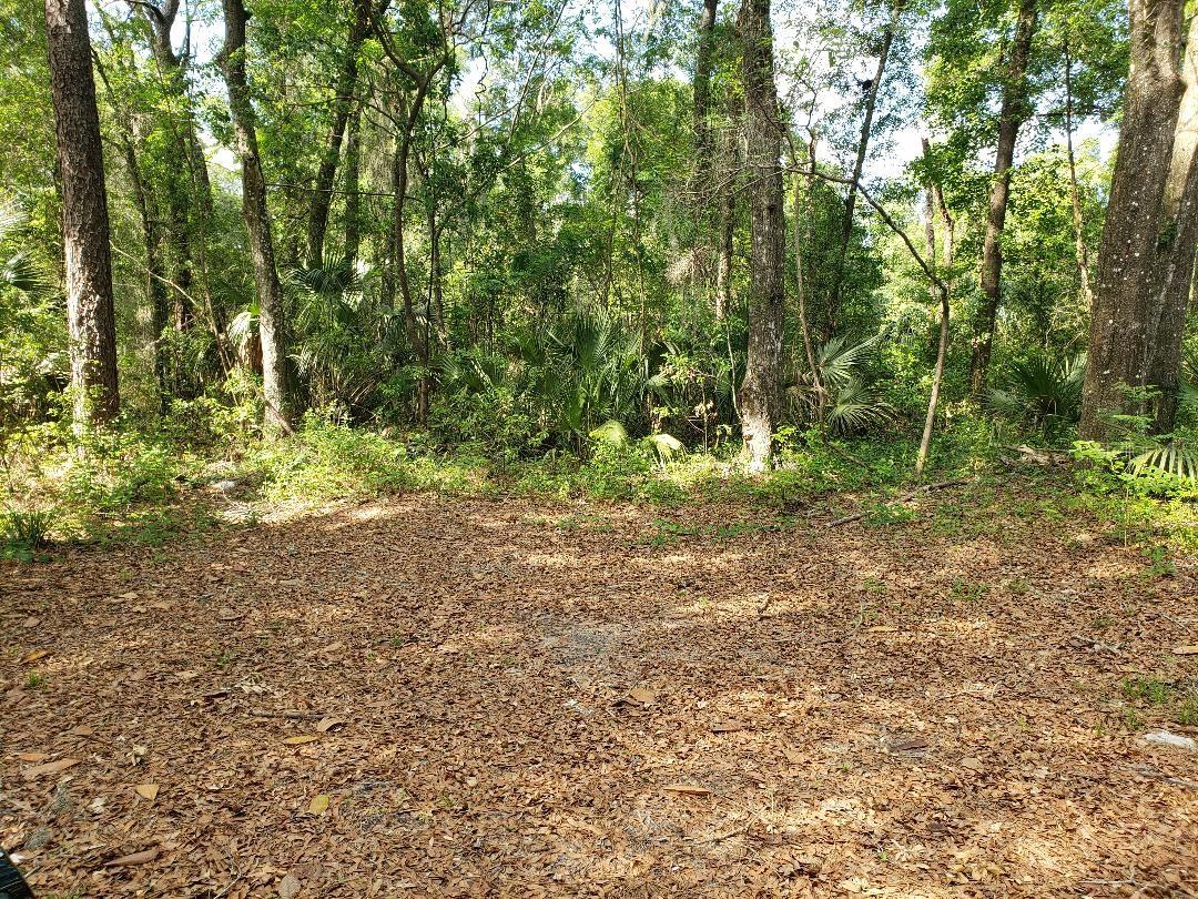 Listing photo id 8 for 3425 56th Avenue