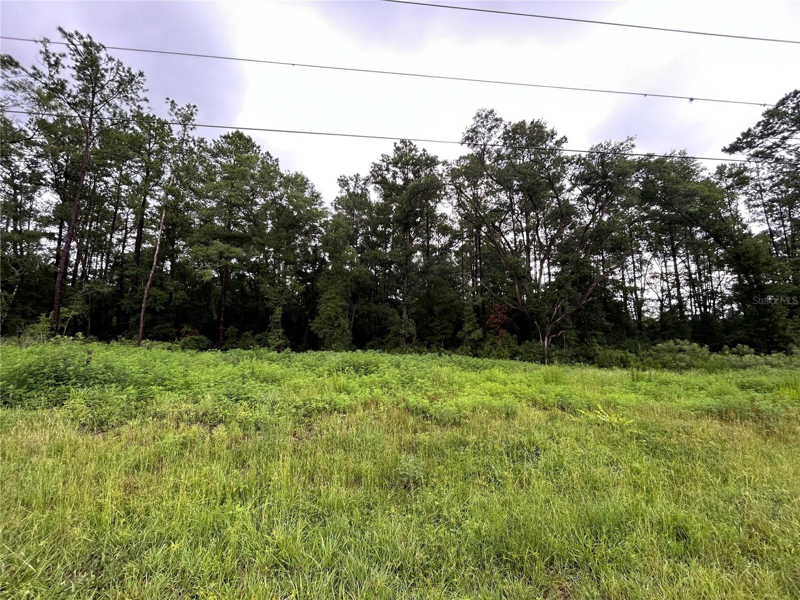 Details for Tbd Hwy 27 Alt, WILLISTON, FL 32696