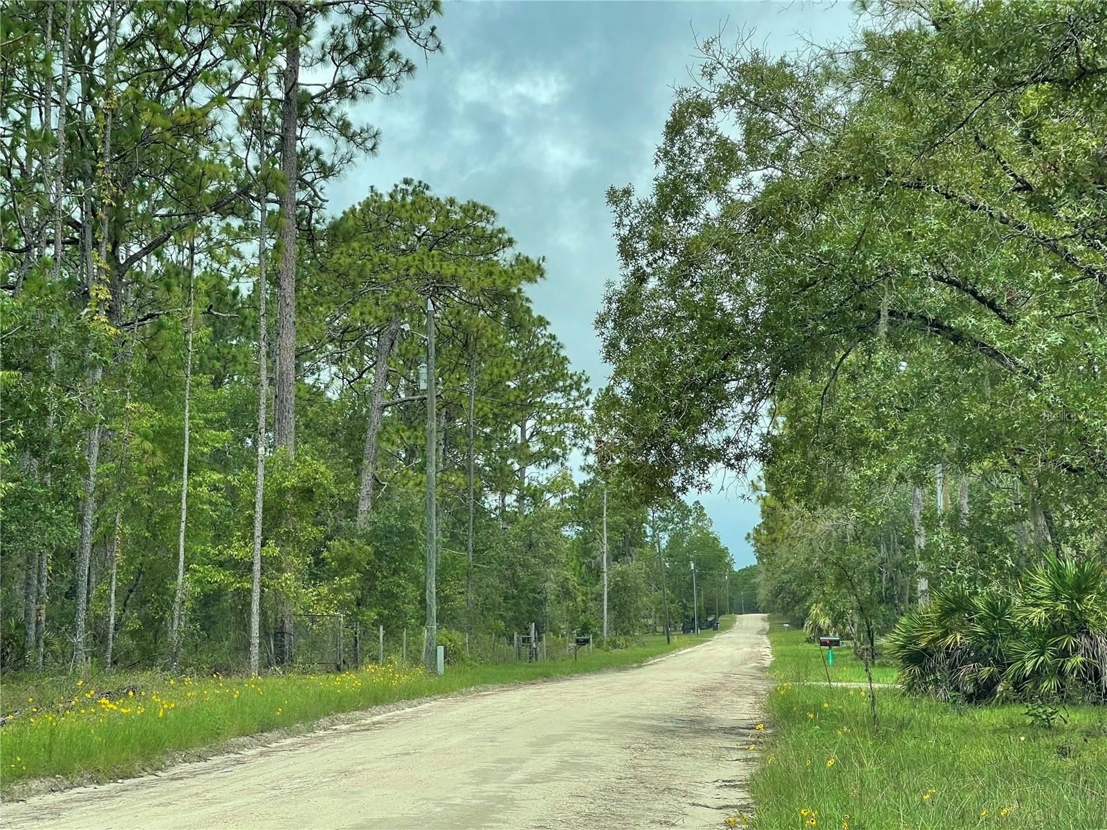 Image 4 of 5 For 11851 55th Lane