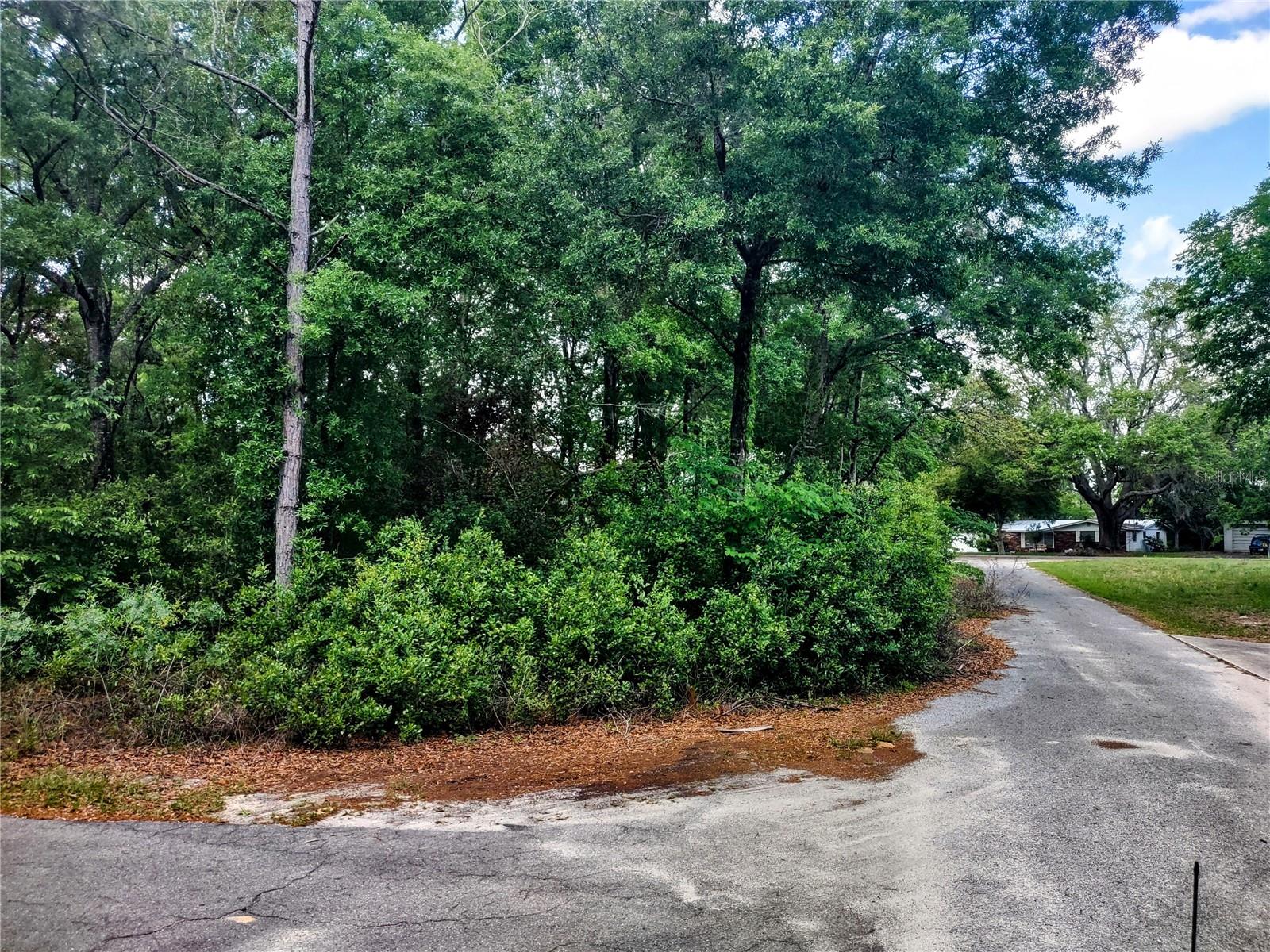 Details for Tbd 12th Street, WILLISTON, FL 32696