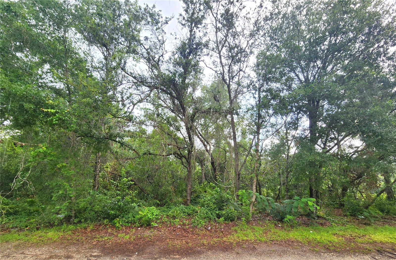 Details for  20 Place , SILVER SPRINGS, FL 34488