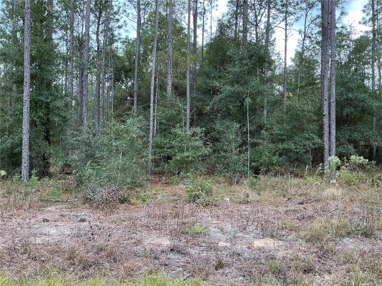 Details for  29th Street , OCALA, FL 34481