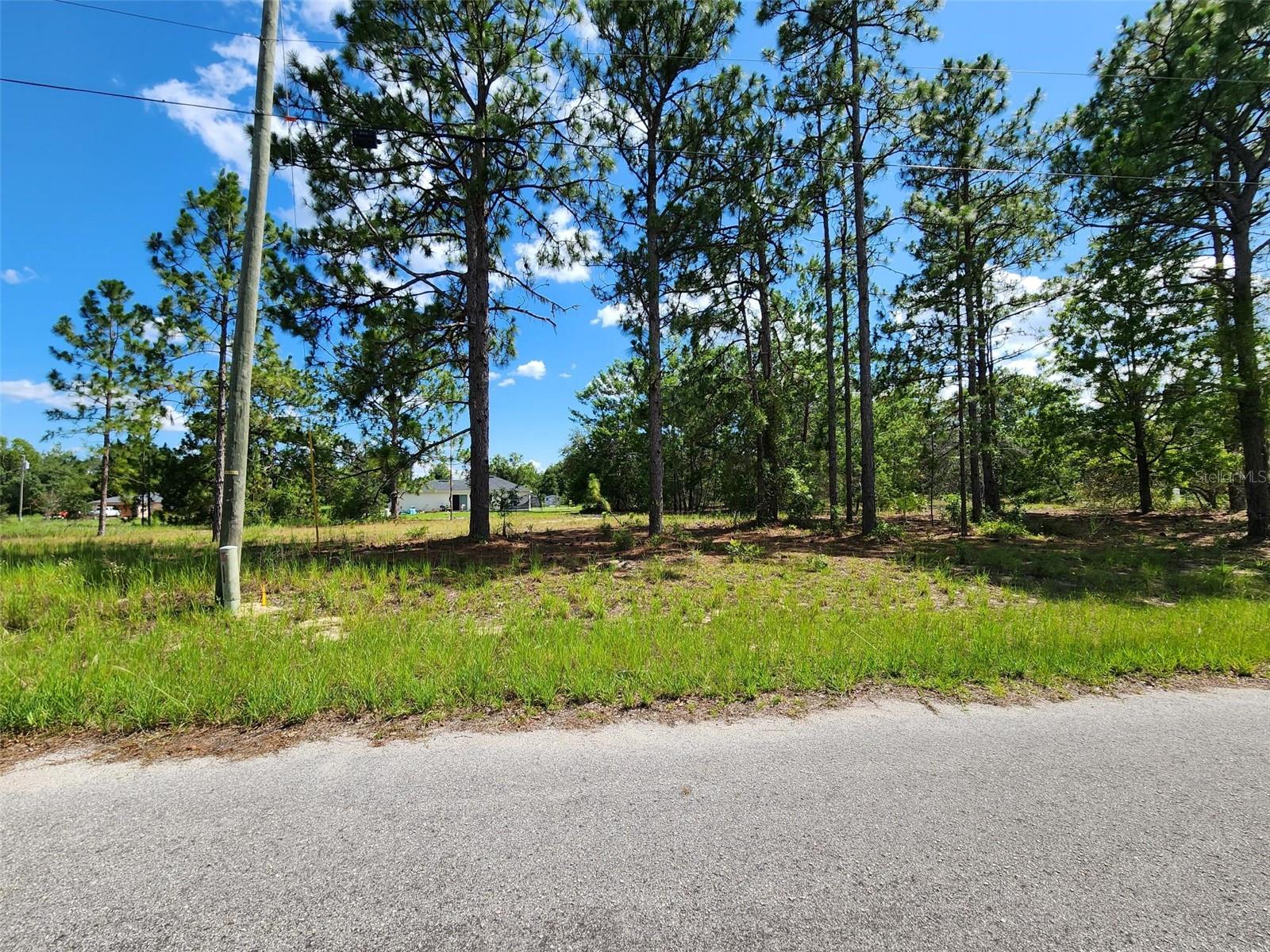 Listing Details for Malauka Radial Run, OCKLAWAHA, FL 32179