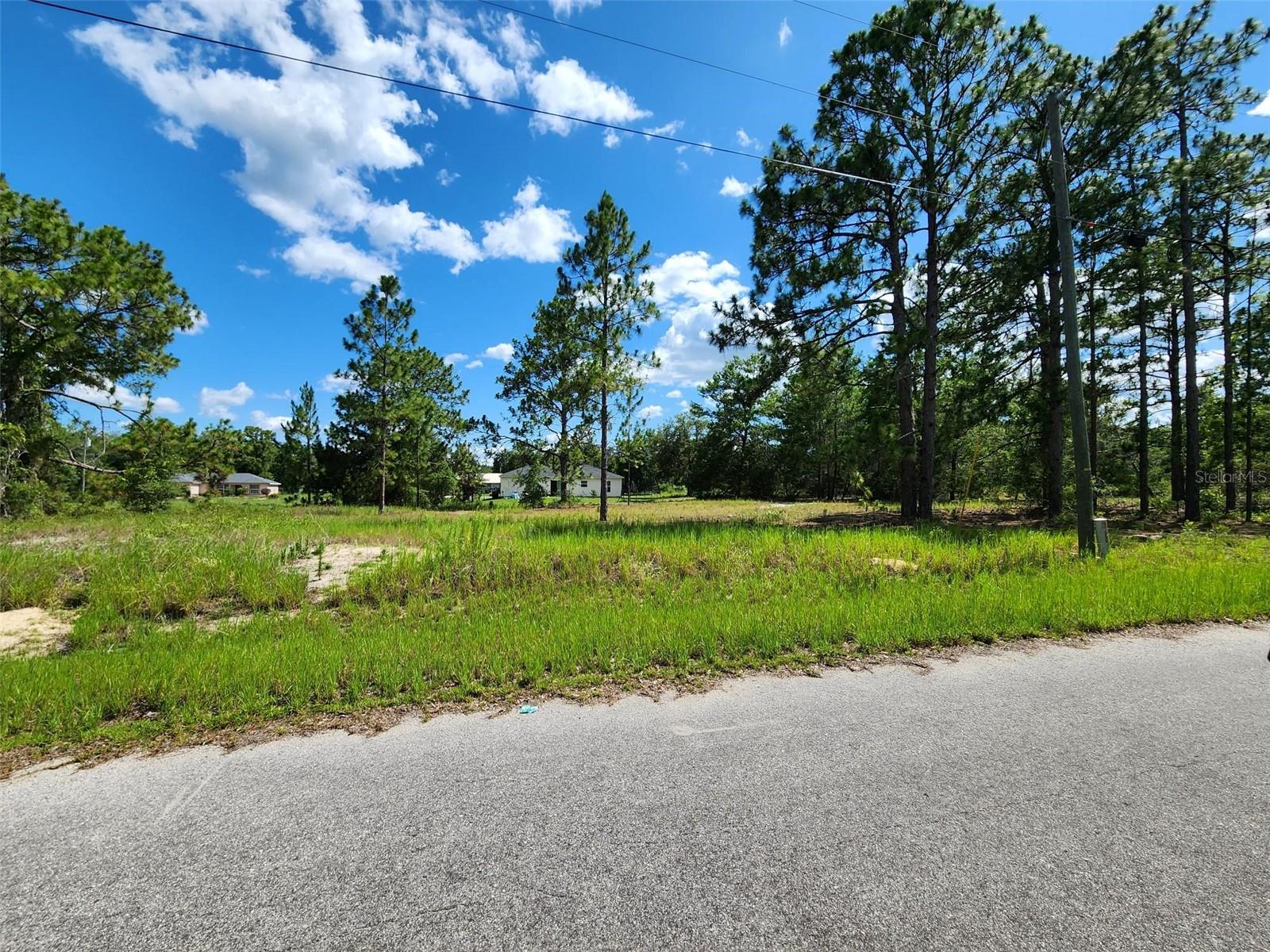Listing Details for Malauka Radial Run, OCKLAWAHA, FL 32179