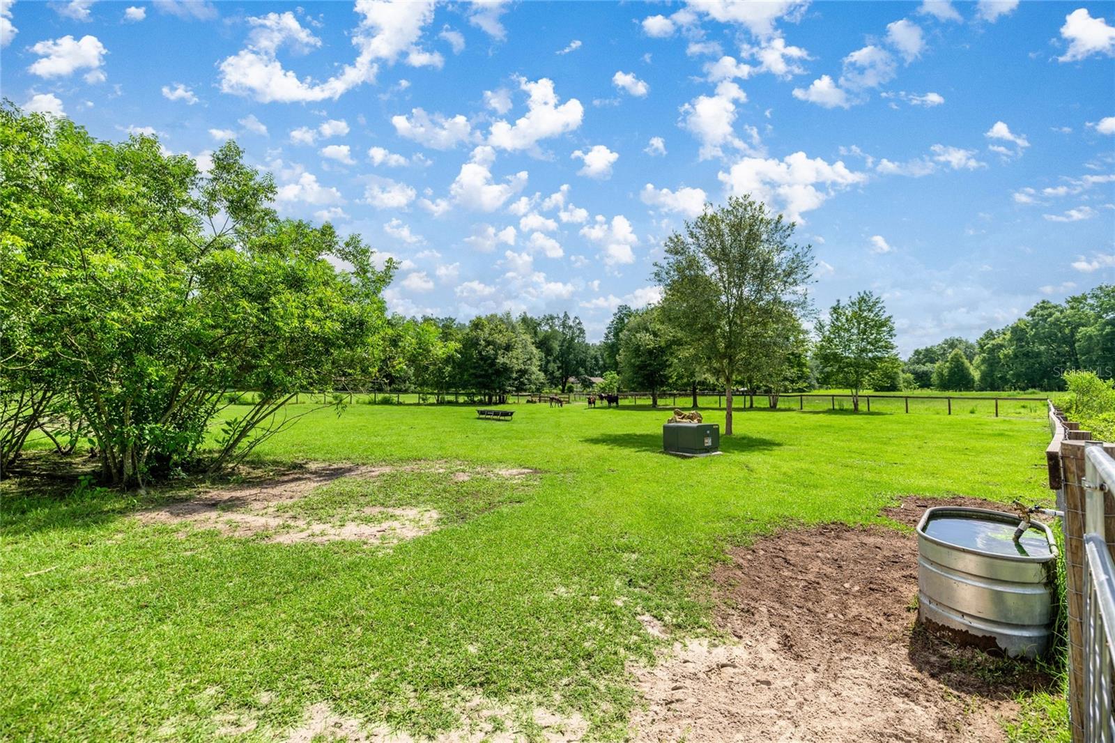 Listing photo id 9 for 3905 84th Lane Road