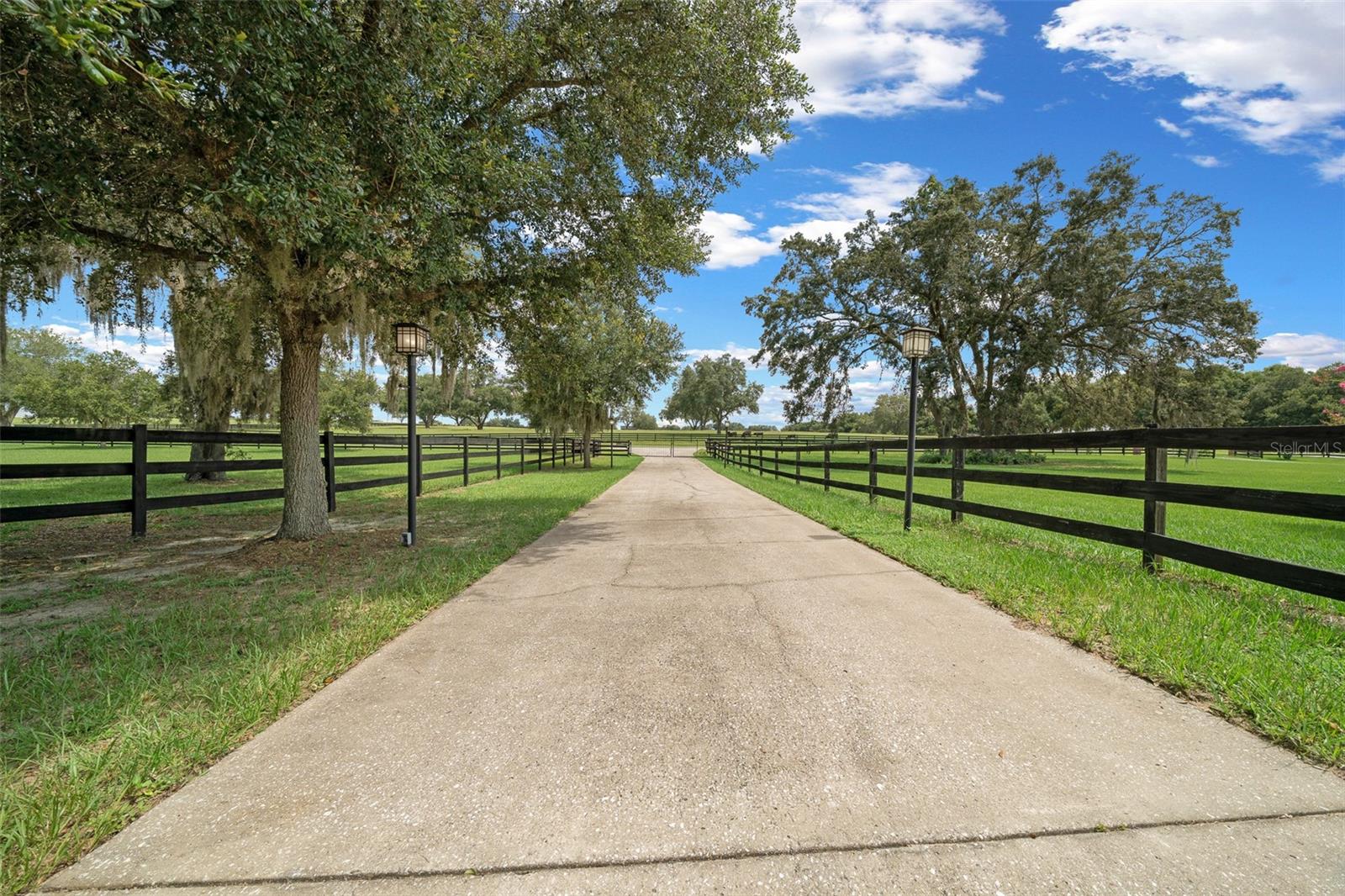 Listing photo id 0 for 3024 Marion County Road