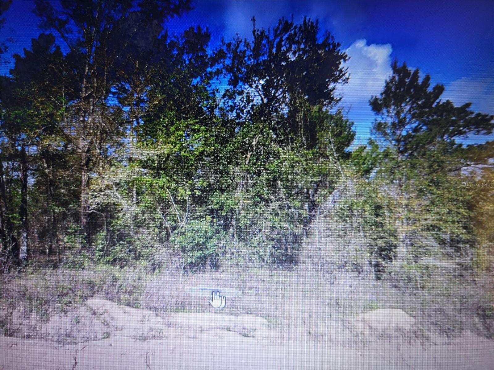 Listing Details for  Grey  , INTERLACHEN, FL 32148