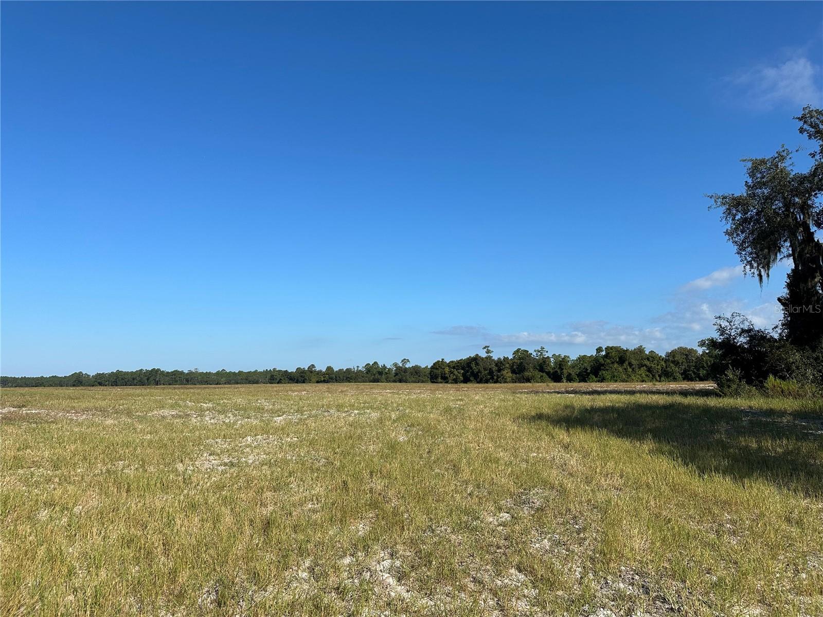 Image 4 of 8 For Lot 2 - 10.75ac Hwy 318