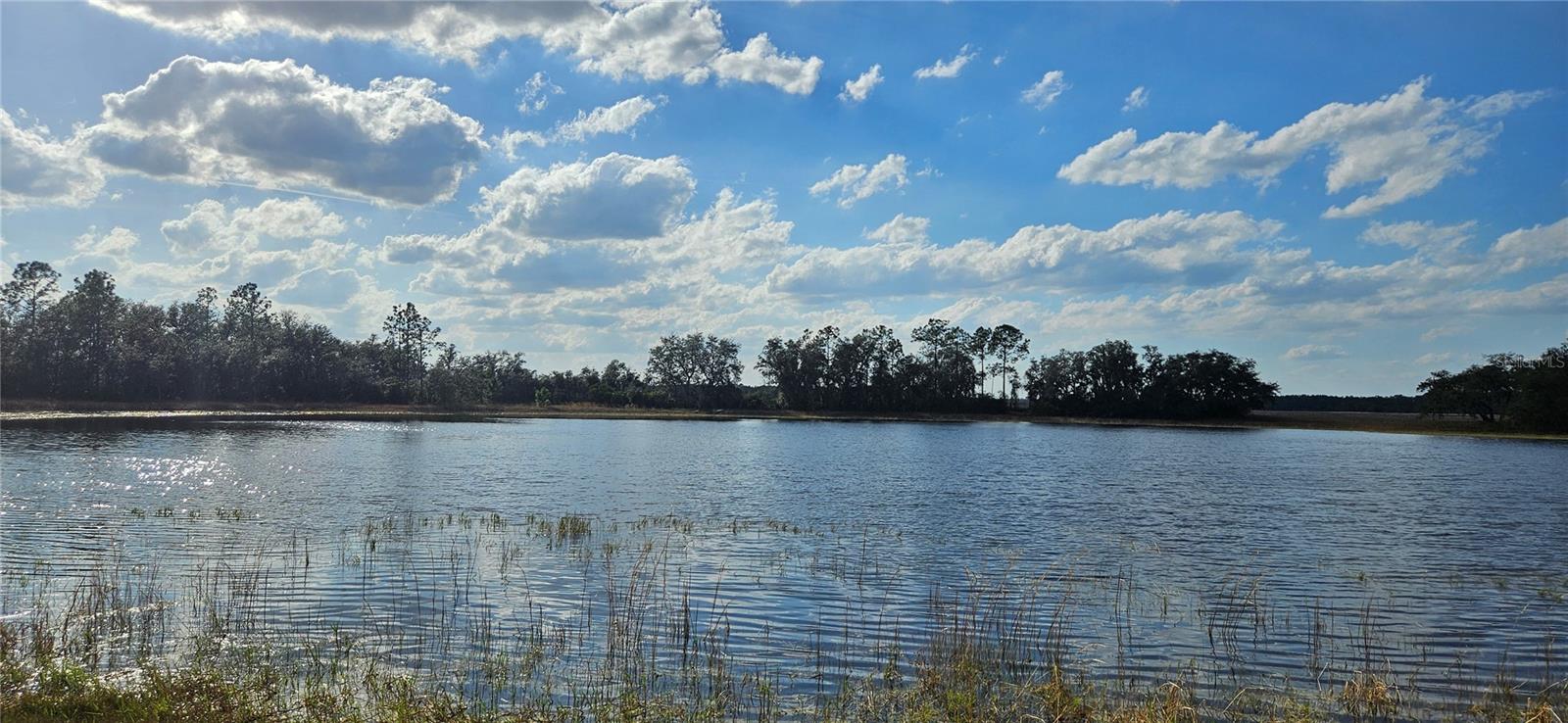 Details for Lot 4 - 12.38ac Hwy 318, CITRA, FL 32113