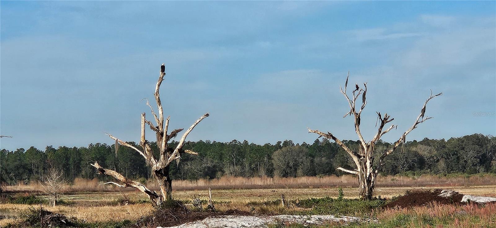Image 2 of 6 For Lot 4 - 12.38ac Hwy 318