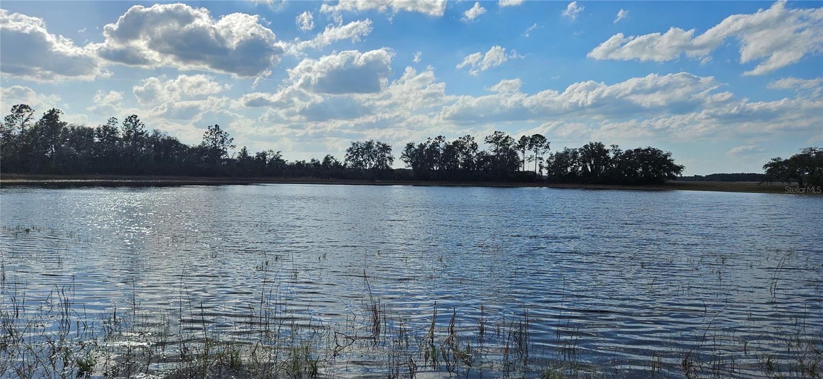 Image 3 of 6 For Lot 4 - 12.38ac Hwy 318